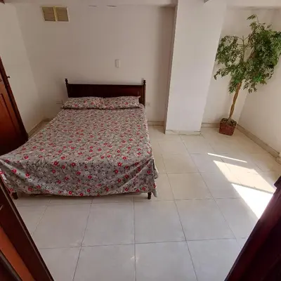 a bedroom with a bed and a potted plant at Quédate En El Punto Más Central De Manizales in Manizales