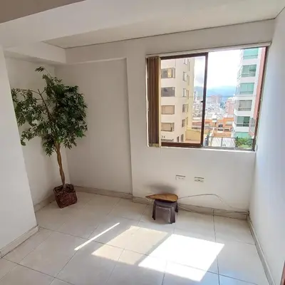 a room with a potted plant and a window at Quédate En El Punto Más Central De Manizales in Manizales