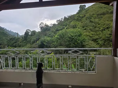 a dog standing on a balcony looking out at a valley at Finca La Rosa in Ebéjico