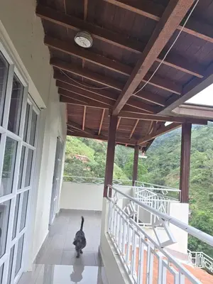 a cat walking on the balcony of a house at Finca La Rosa in Ebéjico