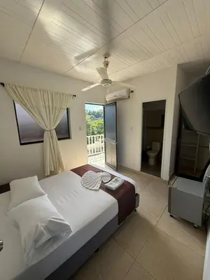 a bedroom with a large bed and a television at 5ta HOTEL CONTINENTAL in Puerto Boyacá
