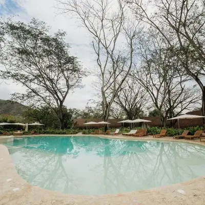 Holistic EcoHotel