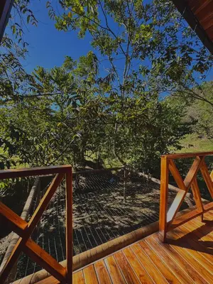 a deck with a bird cage on a tree at Refugio la Arboleda in San Rafael