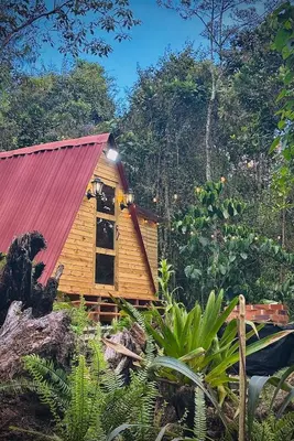 a small wooden cabin with a red roof at Almonte Glamping in Guarne