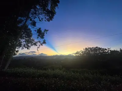 a view of the sunset from a field with a tree at Cabaña descanso in Guarne