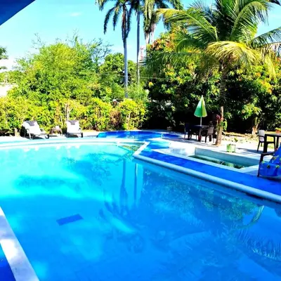 a swimming pool with blue water and palm trees at Siboney family in Honda