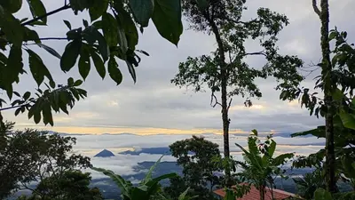 a view of a mountain in the clouds from a forest at Rural Cabin Among Clouds in Támesis