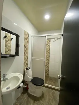 a bathroom with a shower and a toilet and a sink at Apartamento Bustos 1 in Puerto Triunfo