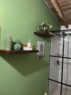 a bathroom with green walls and shelves on the wall at Casa Moderna en el Bosque Jacuzzi y Deck Privado in Mazo