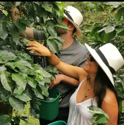a man and a woman standing in a tree at Ranch Style Home Jardin Del Eden in Verdún