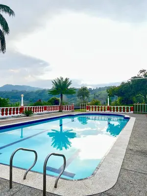 a blue swimming pool with a palm tree in the background at Finca La Carmelita Casa Campestre con Piscina y entre Montañas a sólo minutos de Santa Rosa de Cabal in Santa Rosa de Cabal