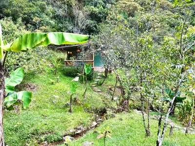 a small house in the middle of a forest at El Santuario Retreat in Guatapé