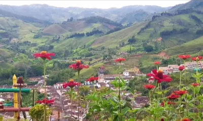 a view of a valley with red flowers on a hill at Aparta estudio en Concepción in Concepción
