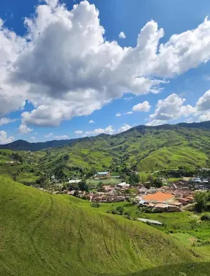 a green hillside with a town in the distance at Aparta estudio en Concepción in Concepción