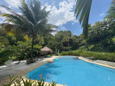 a swimming pool with a palm tree in a yard at Finca La Verbena in San Jerónimo