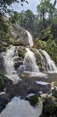 a waterfall on the side of a mountain with trees at Ix Cacao in San Carlos