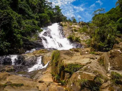 a waterfall on the side of a mountain with trees at Ix Cacao in San Carlos