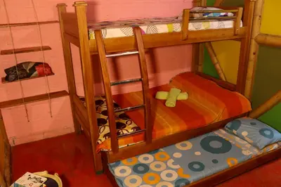 a bunk bed room with two bunk beds and a dog at Eco posada El Encuentro San Carlos frente al rio in San Carlos