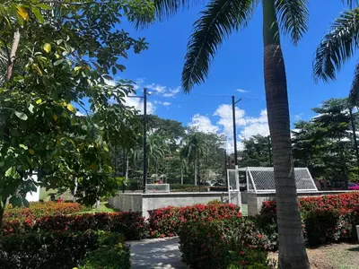 a park with a palm tree and flowers at Hermoso Apartamento in Santa Fe de Antioquia