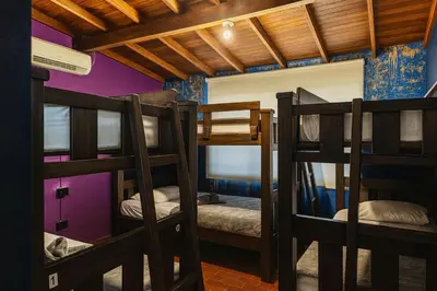 two bunk beds in a room with purple walls at Casa amplia con estilo, poblado, disco y AC in Medellín
