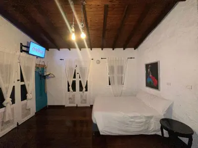 a bedroom with a bed and a tv in it at Melongos Jardín in Jardin