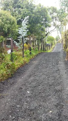 a dirt road with trees on the side of it at Cabaña Privada Pachamama Ancestral in Medellín