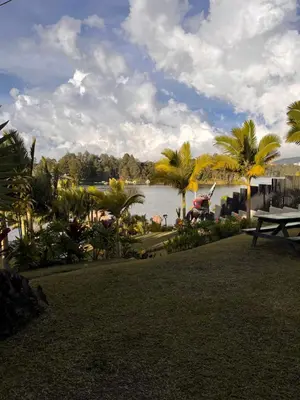 a park with a bench and a lake with palm trees at Entre Aguas Hotel in Guatapé