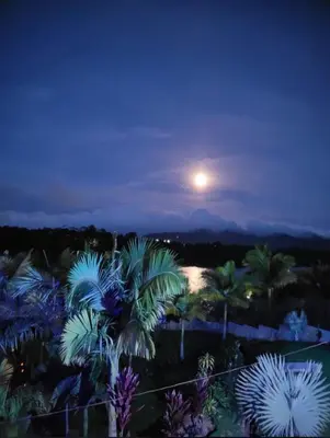 a full moon over the palm trees at night at Entre Aguas Hotel in Guatapé