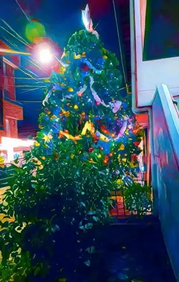 a christmas tree in front of a building at Habitación central con cama doble #1 in Medellín