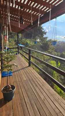 a wooden deck with a potted plant on it at Cabaña Martina in Marinilla