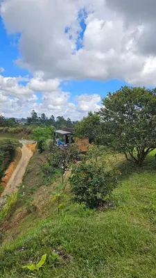 a house on a hill next to a dirt road at Cabaña Martina in Marinilla