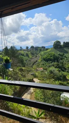 a view from a window of a field of trees at Cabaña Martina in Marinilla