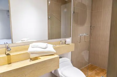 a bathroom with a toilet and a shower with a mirror at Hotel Laureles Loft in Medellín