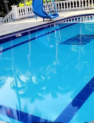 a pool with a chair and a palm tree in the water at Villa Kelly Farm in San Jerónimo
