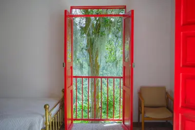 a red door with a tree outside of a bedroom at Hacienda Santa Bárbara Coffee Farm in La Linda