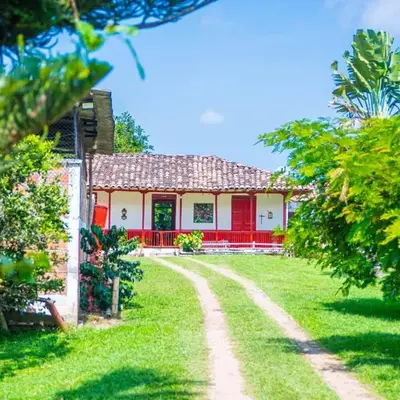 Hacienda Santa Bárbara Coffee Farm