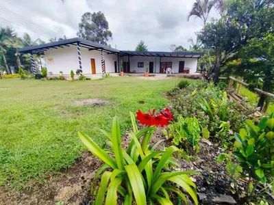 a house with a yard with a red flower at Finca Tasnia in Chiquinquirá