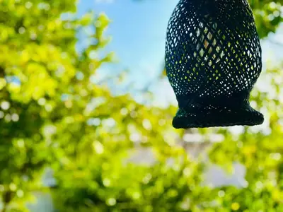 a black bird feeder with trees in the background at Cabaña 65 El Descanso Doradal in Estación El Salto