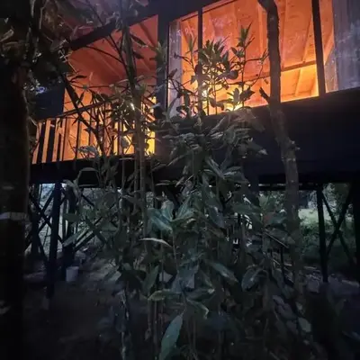 Boheme Cabin