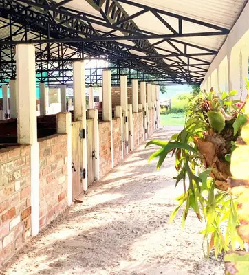 an empty brick building with plants on the side at Finca Hotel El Juncal in Venecia