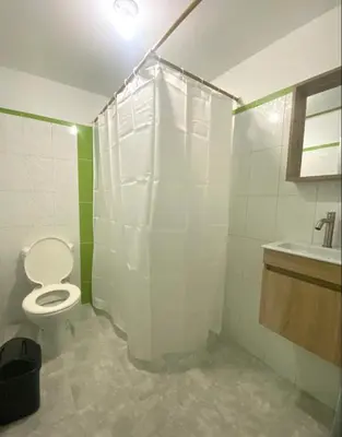 a bathroom with a toilet and a shower and a sink at Apartamentos SAN LUIS in San Luis