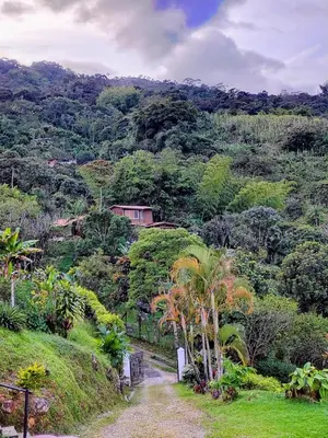 a house on a hill with a dirt road at Ecohotel Los Cedros in Cocorná