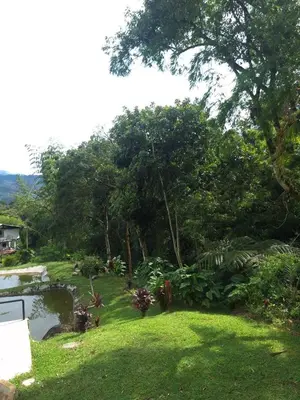 a backyard with a pond and trees and grass at Ecohotel Los Cedros in Cocorná