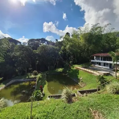 Ecohotel Los Cedros