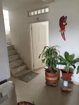 a hallway with potted plants in front of a door at hotel morichal in Puerto Boyacá