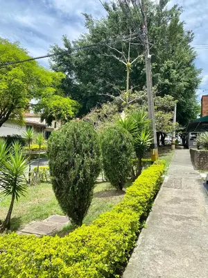 a garden with bushes and trees and a sidewalk at Loft - Laureles, interno con patio in Medellín