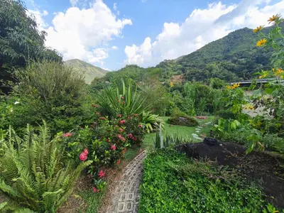a garden with flowers and plants on a hill at Casa Entre Montañas in Titiribí