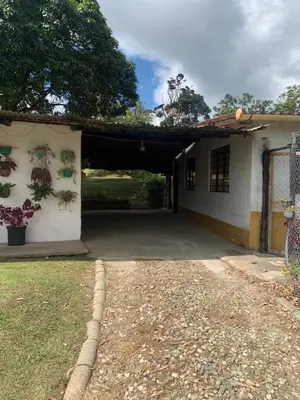 a building with potted plants on the side of it at El Edén in Guarne