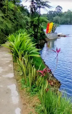 a boat on the water with plants next to a sidewalk at Konkor Aldea in Chiquinquirá