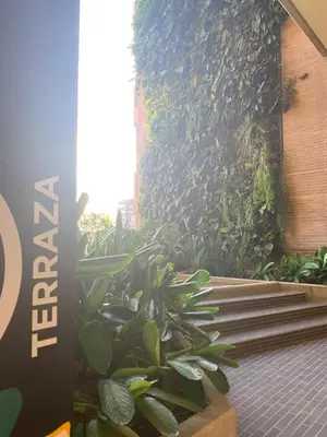 a plant in front of a wall with stairs at Art, design and urban life in Medellín loft in Medellín